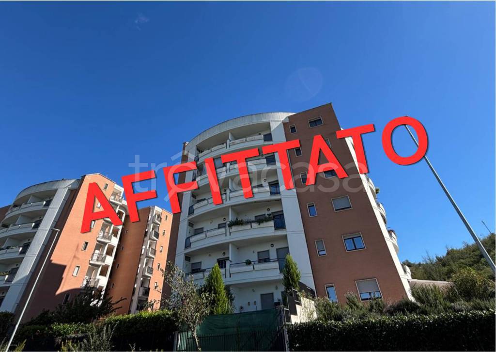 appartamento in affitto a Monterotondo