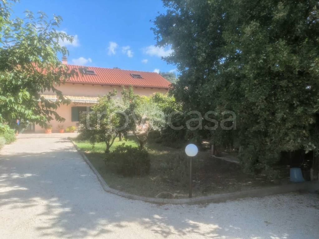 appartamento in affitto a Monterotondo
