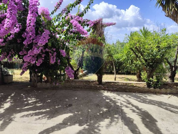 appartamento in affitto a Morlupo