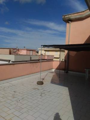 appartamento in affitto a Nettuno