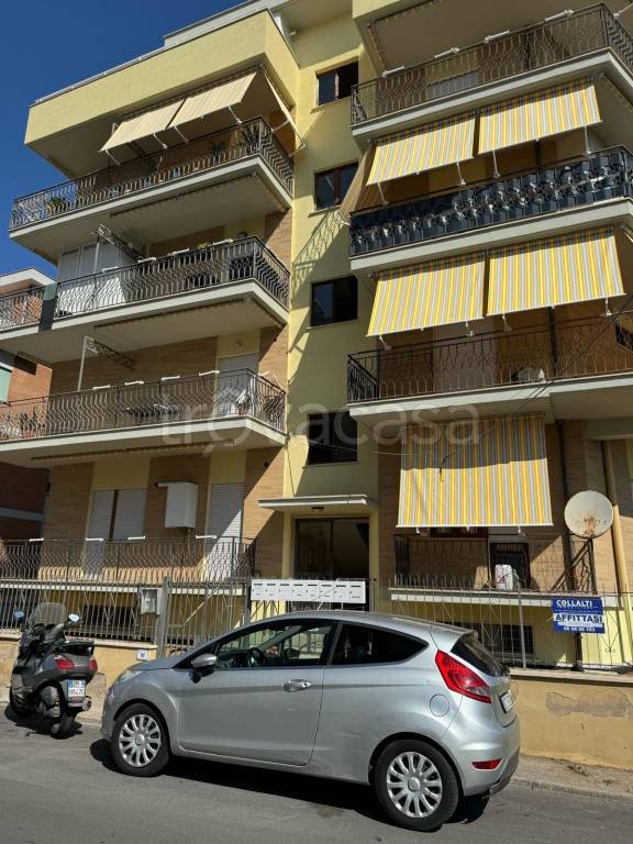 appartamento in affitto a Nettuno