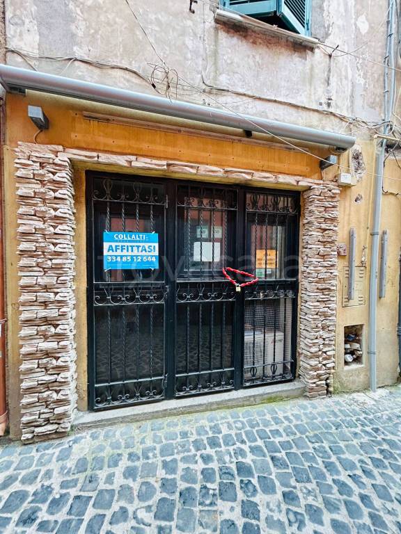 negozio in affitto a Nettuno
