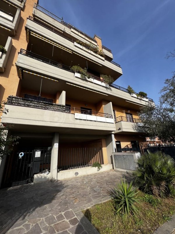 appartamento in affitto a Nettuno