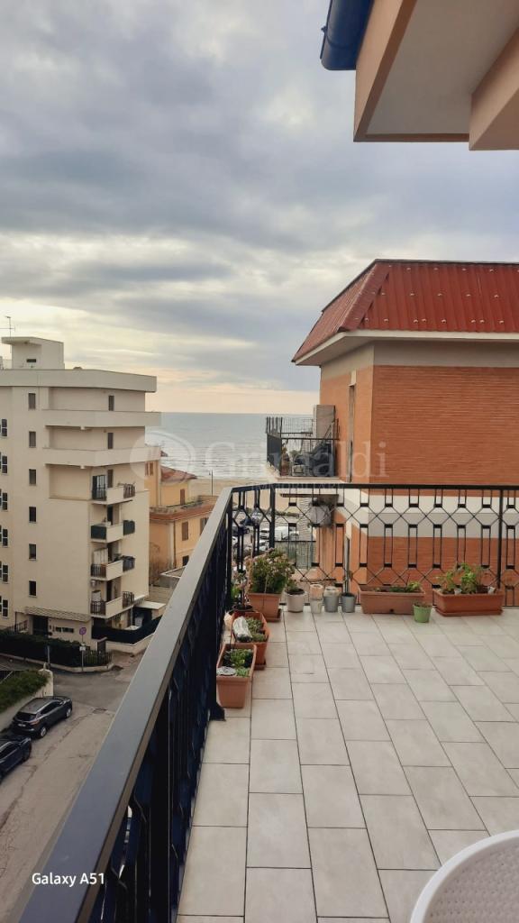 appartamento in affitto a Nettuno