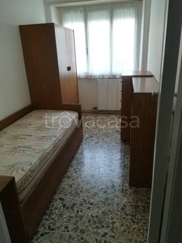 appartamento in affitto a Nettuno
