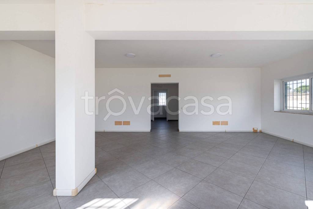 appartamento in affitto a Nettuno