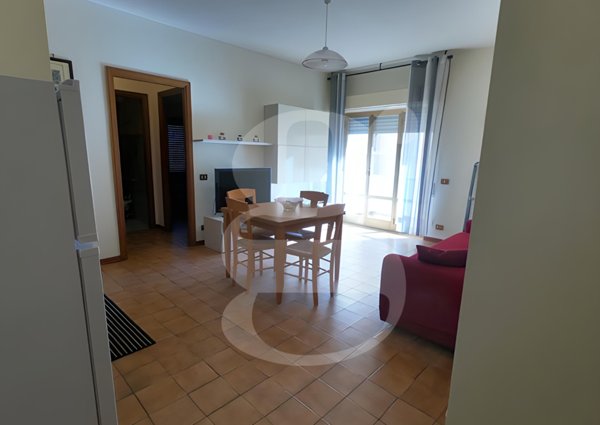 appartamento in affitto a Nettuno