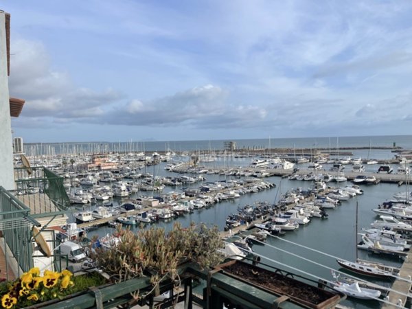 appartamento in affitto a Nettuno