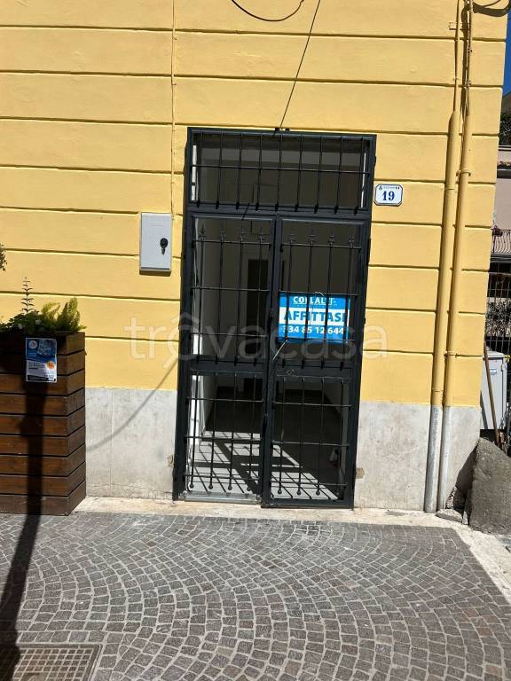 monolocale in affitto a Nettuno