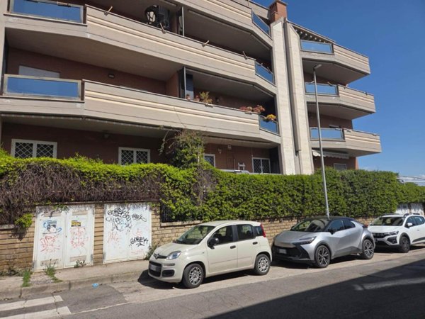 appartamento in affitto a Nettuno