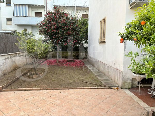 appartamento in affitto a Nettuno