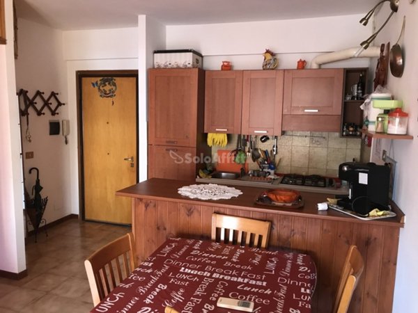 appartamento in affitto a Nettuno