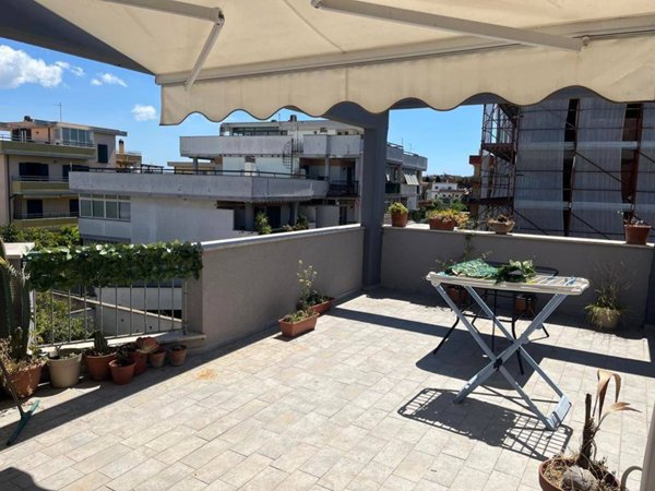 appartamento in affitto a Nettuno