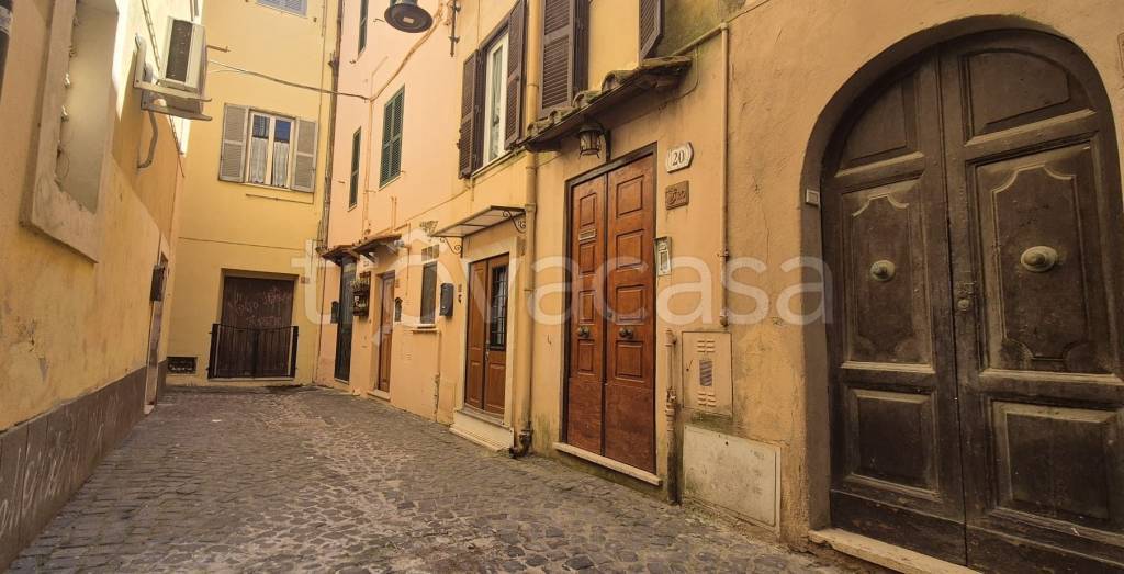 casa indipendente in affitto a Nettuno