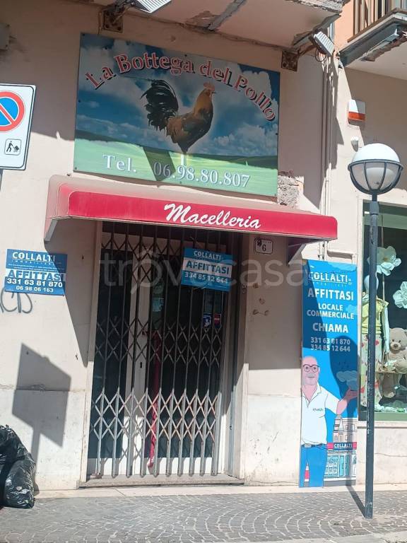 monolocale in affitto a Nettuno
