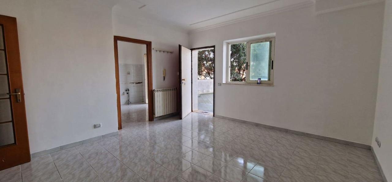 appartamento in affitto a Nettuno