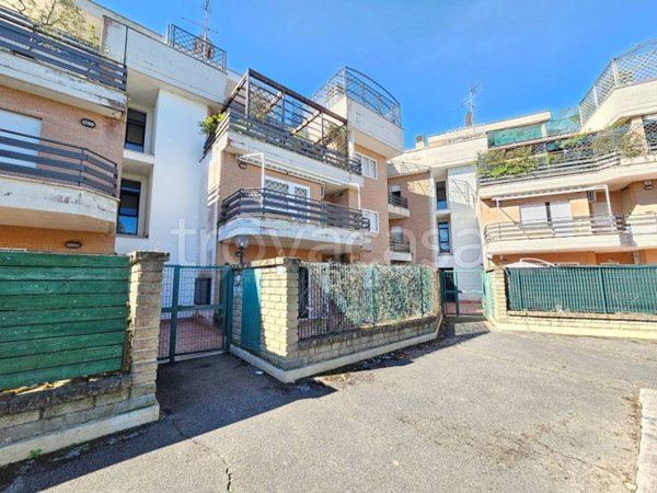 appartamento in affitto a Nettuno