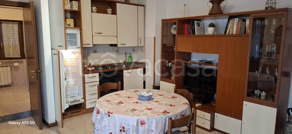 appartamento in affitto a Nettuno