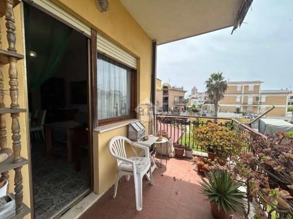 appartamento in affitto a Nettuno