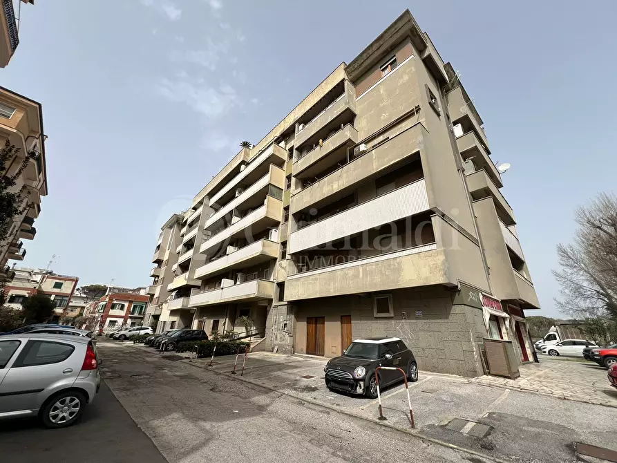 appartamento in affitto a Nettuno