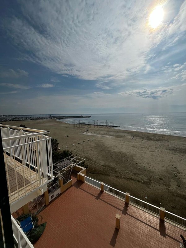 appartamento in affitto a Nettuno