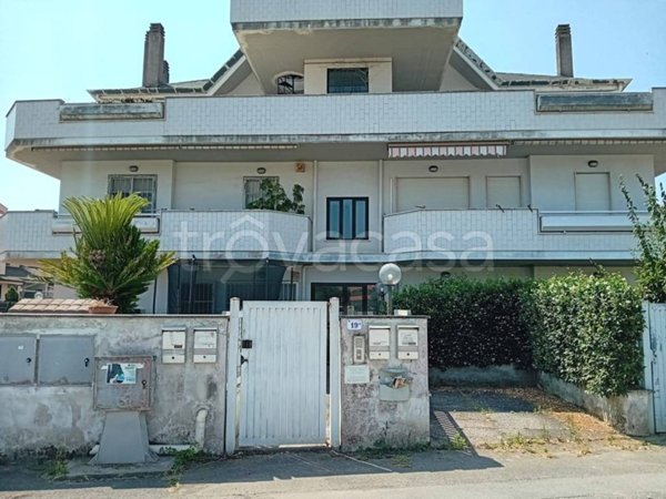 appartamento in affitto a Nettuno