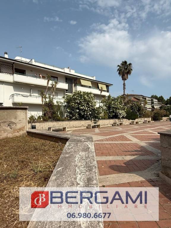 appartamento in affitto a Nettuno