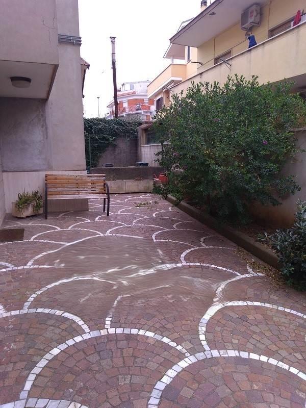 appartamento in affitto a Nettuno