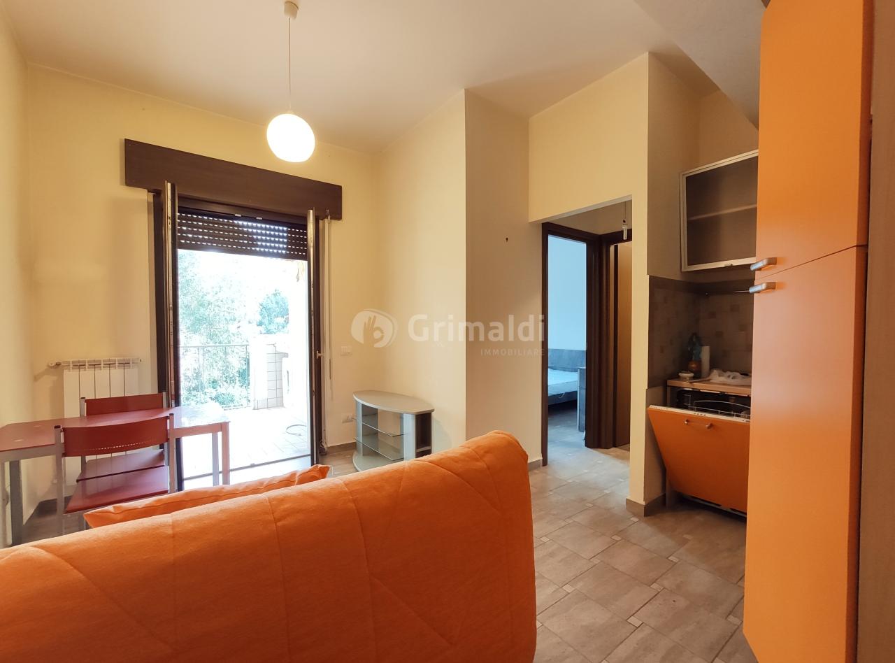 appartamento in affitto a Nettuno
