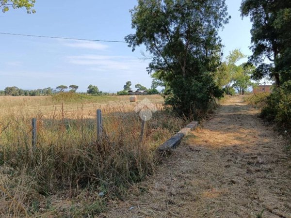 terreno agricolo in affitto a Nettuno