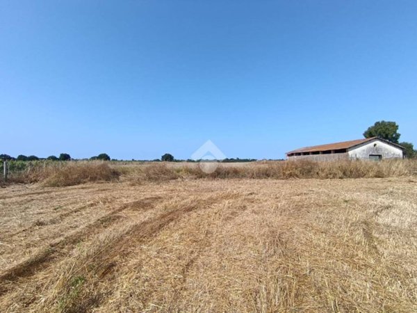 terreno agricolo in affitto a Nettuno