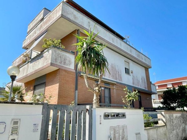 appartamento in affitto a Nettuno