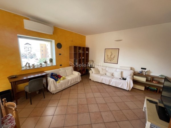 appartamento in affitto a Nettuno
