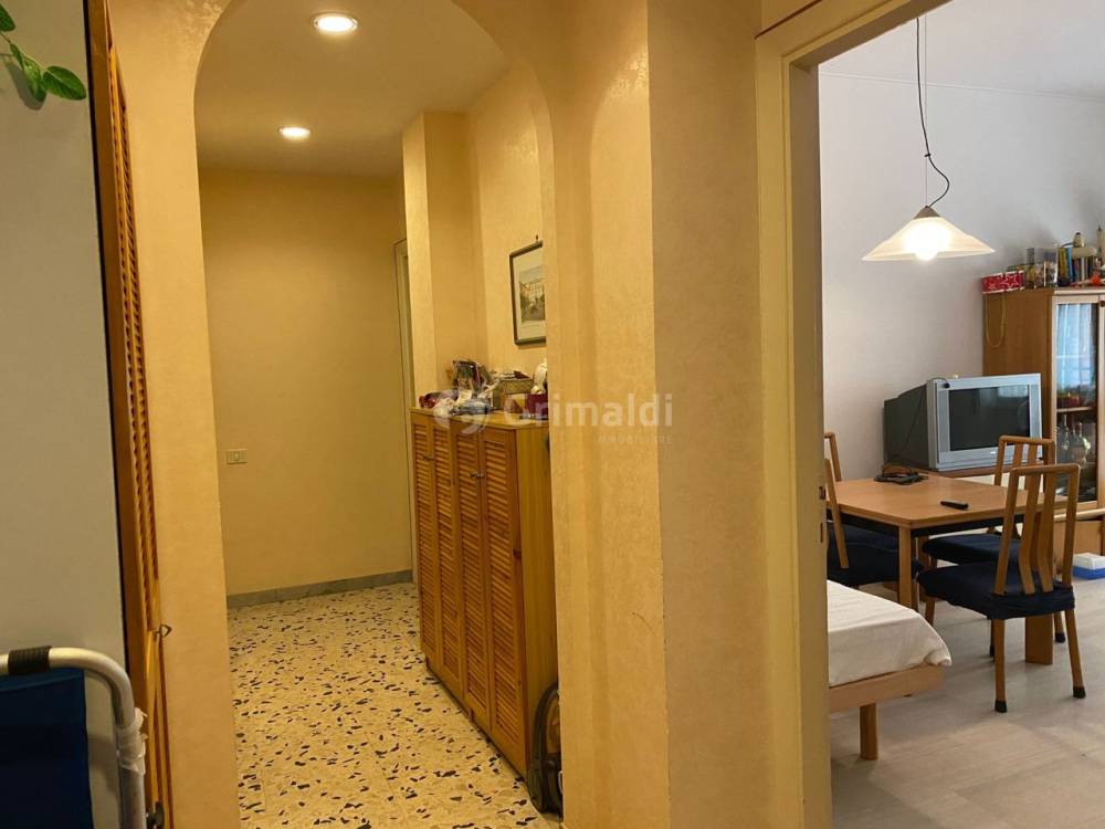appartamento in affitto a Nettuno