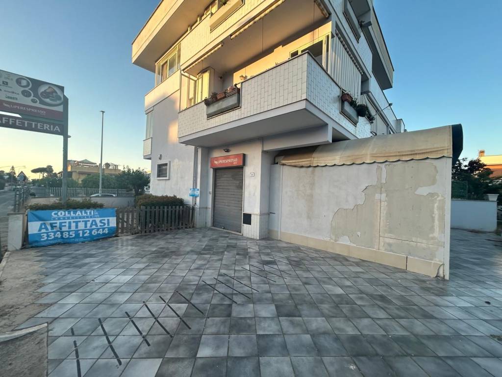 negozio in affitto a Nettuno