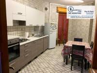 appartamento in affitto a Nettuno