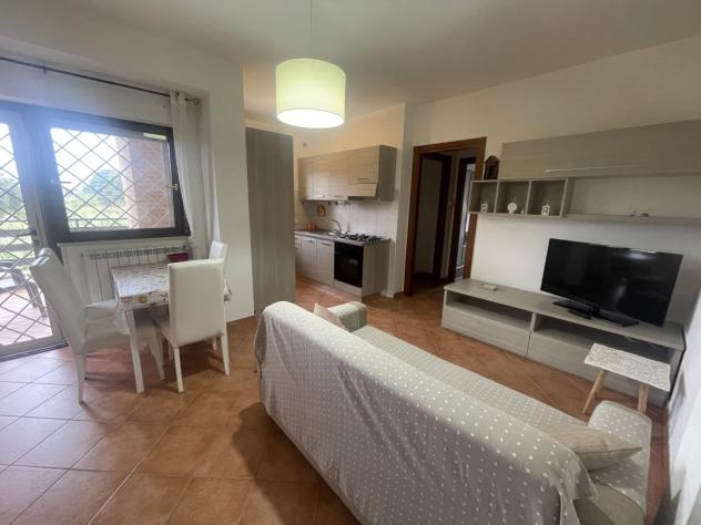 appartamento in affitto a Nettuno