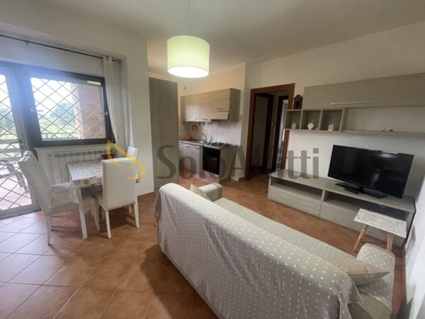 appartamento in affitto a Nettuno