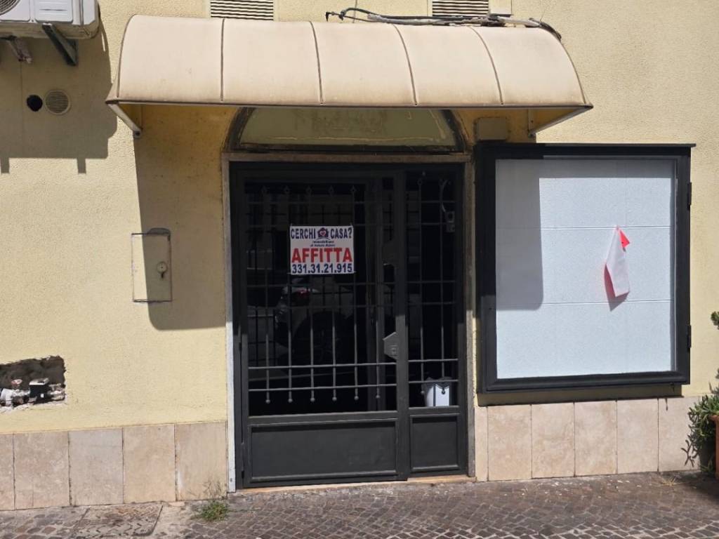 negozio in affitto a Nettuno