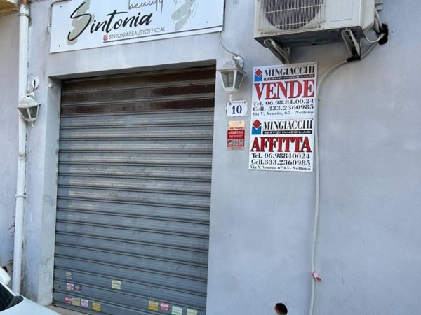negozio in affitto a Nettuno