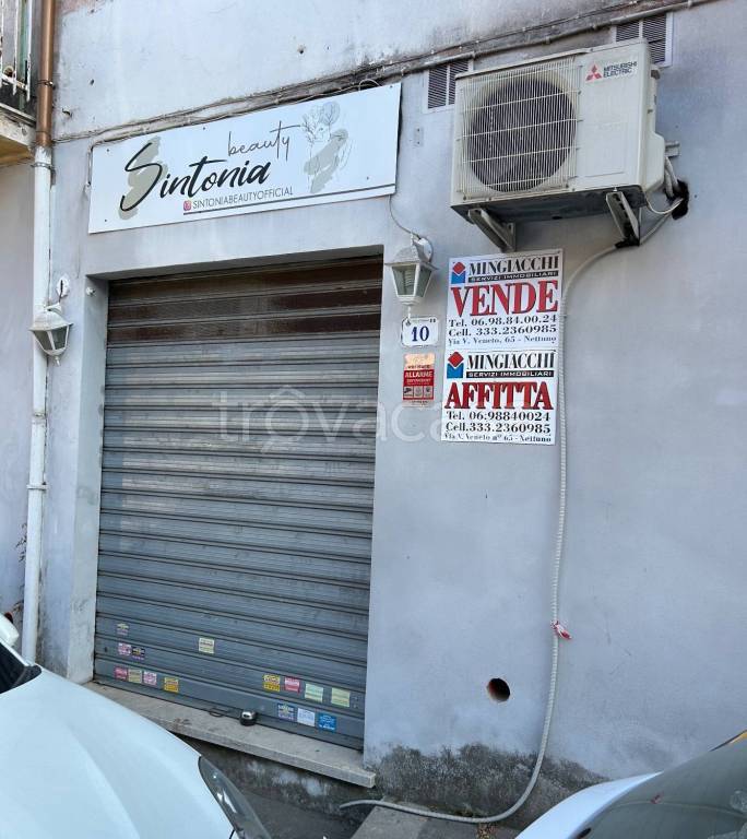 monolocale in affitto a Nettuno