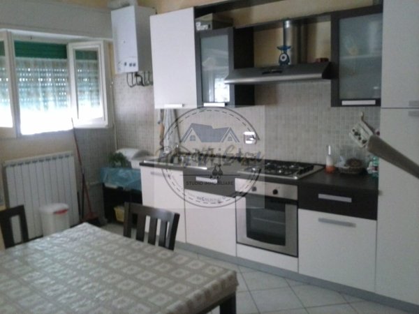 appartamento in affitto a Nettuno