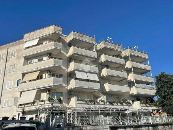 appartamento in affitto a Nettuno
