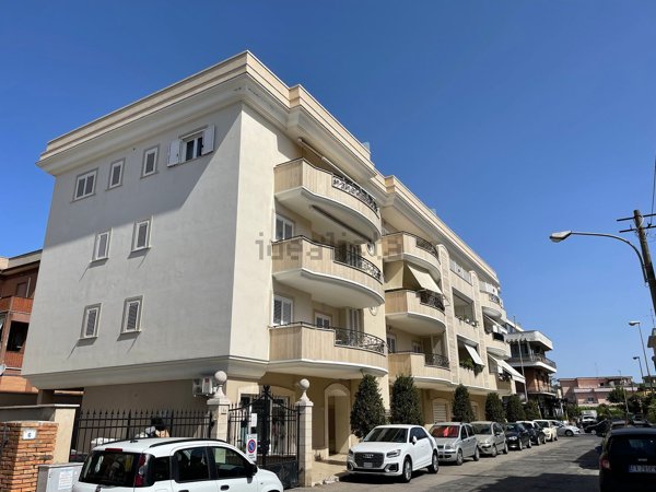 appartamento in affitto a Nettuno