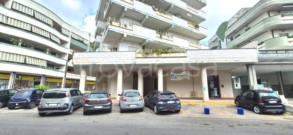 appartamento in affitto a Nettuno