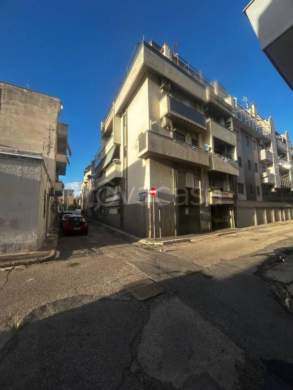 appartamento in affitto a Nettuno