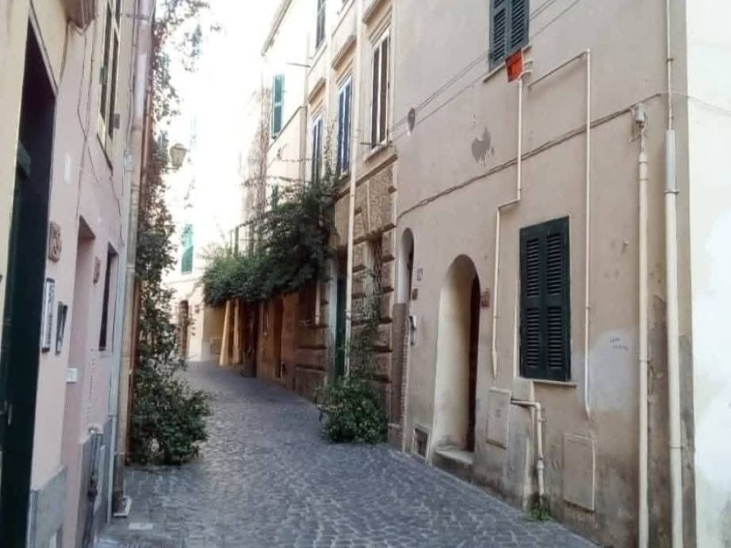 appartamento in affitto a Nettuno