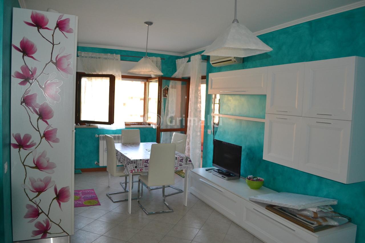 appartamento in affitto a Nettuno