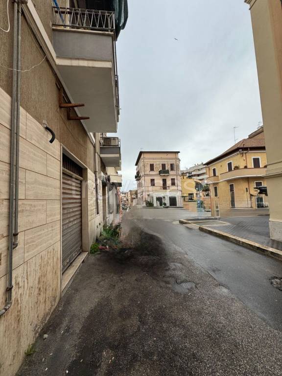 negozio in affitto a Nettuno