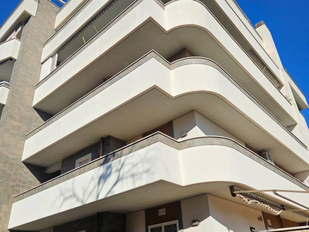 appartamento in affitto a Nettuno